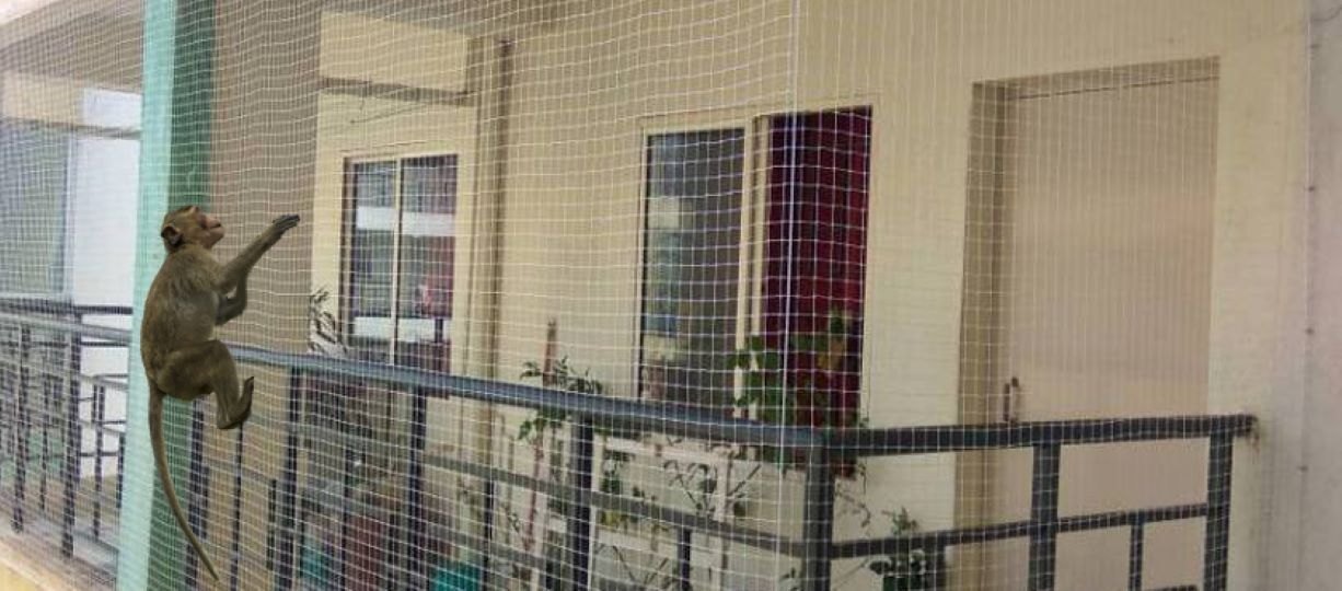 Premium Invisible Grills